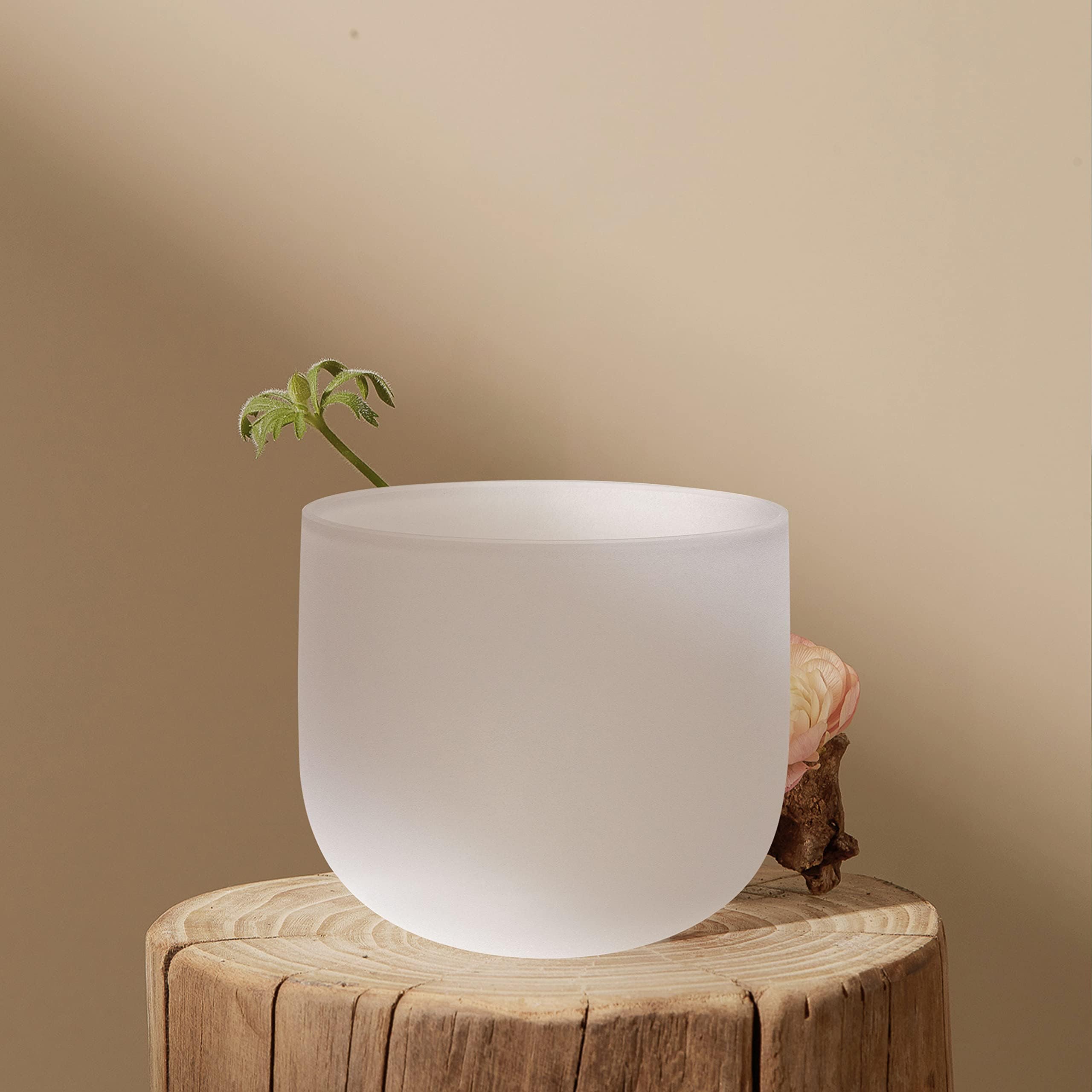 Amazon.com: TOPFUND 8 inch 432 Hz F Note Crystal Singing Bowl